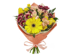 Солнечный